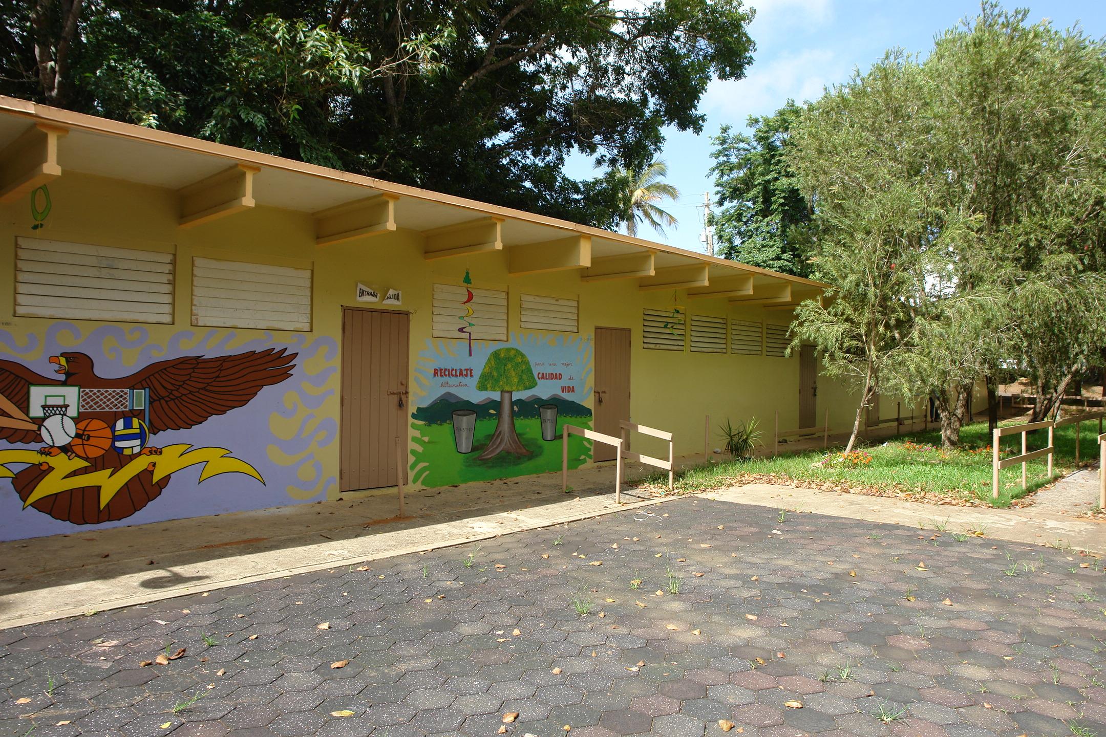 FDII - Aibonito - 2010 00008